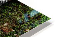 Insouciance HD Metal print