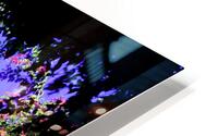 Majorelle HD Metal print