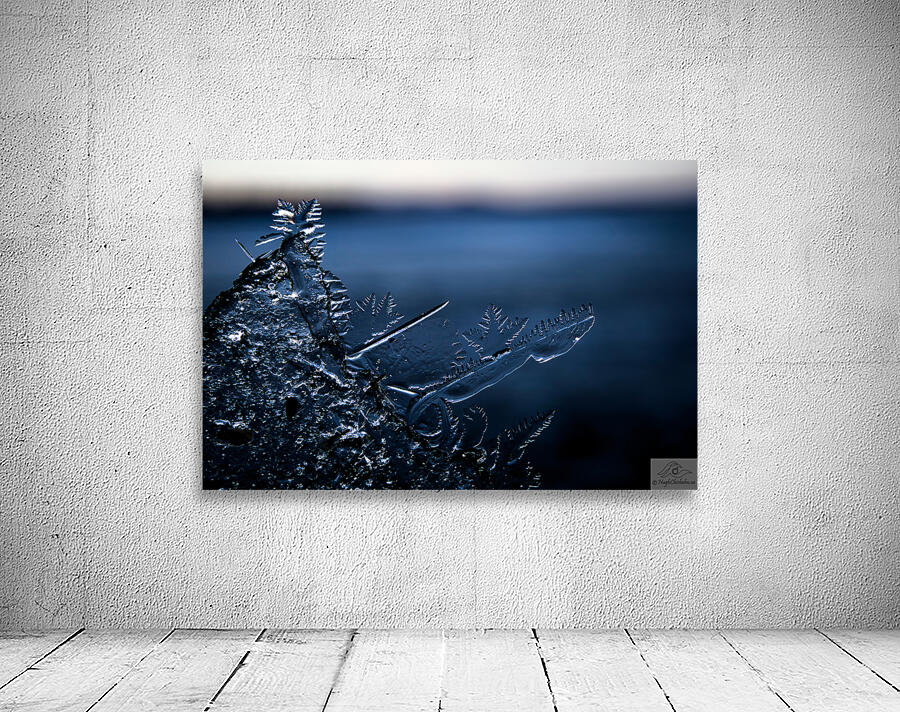 Fossile Ephemere Wall Preview