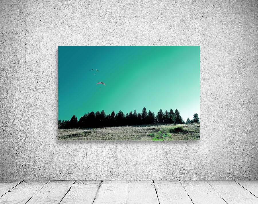 Plenitude   Wall Preview