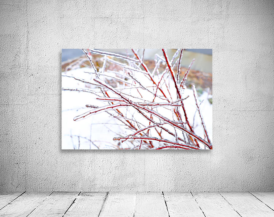 Cerne Wall Preview