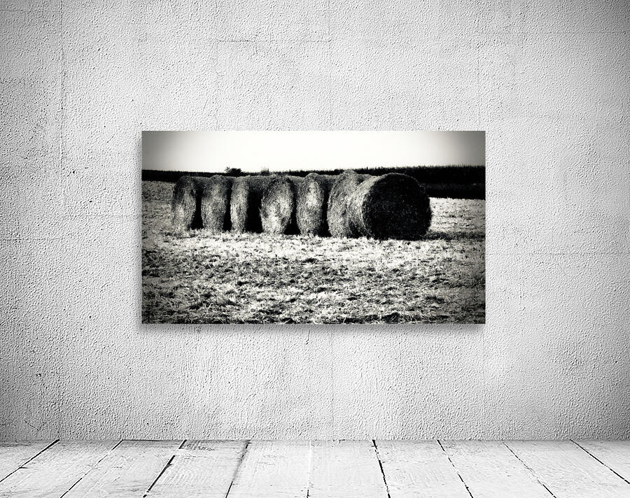 Nos Campagnes Wall Preview