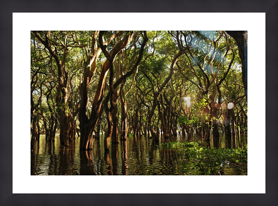 Submerge Picture Frame print