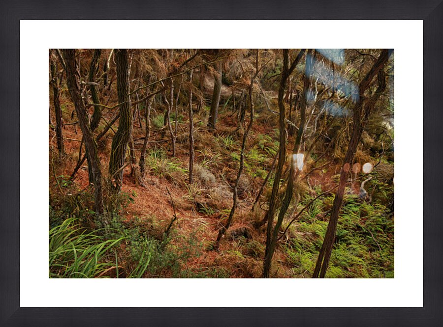 Rotorua Picture Frame print