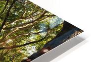 Submerge HD Metal print