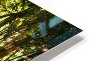 Lenvers HD Metal print