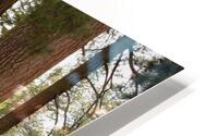 Redwoods HD Metal print