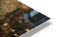 Secrets HD Metal print