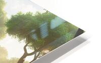 beautiful forest HD Metal print