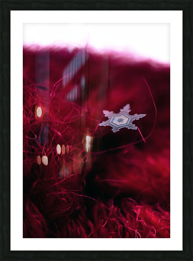 SNOWFLAKE PRISM Picture Frame print