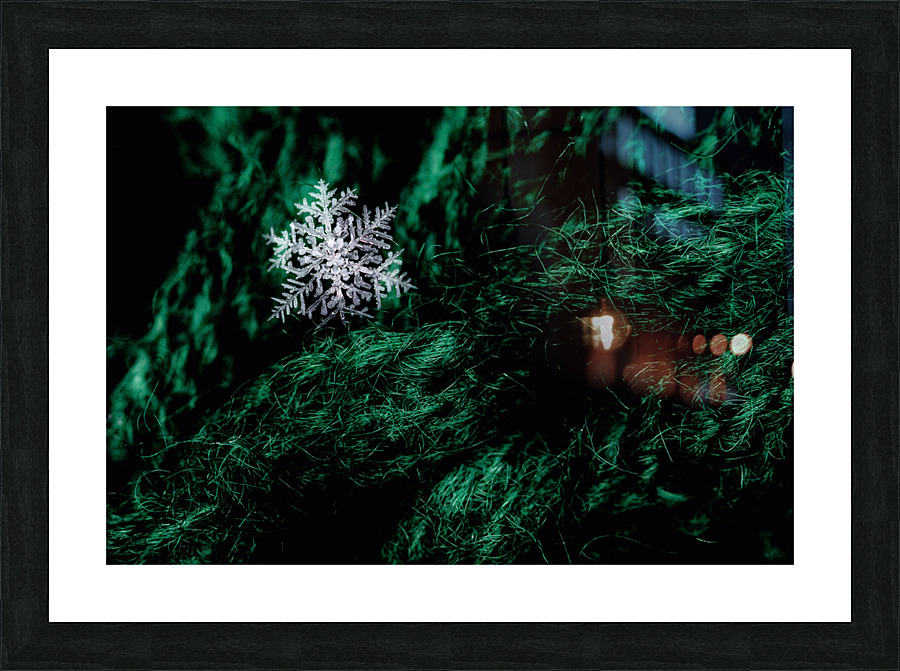 PERFECT LANDING Picture Frame print