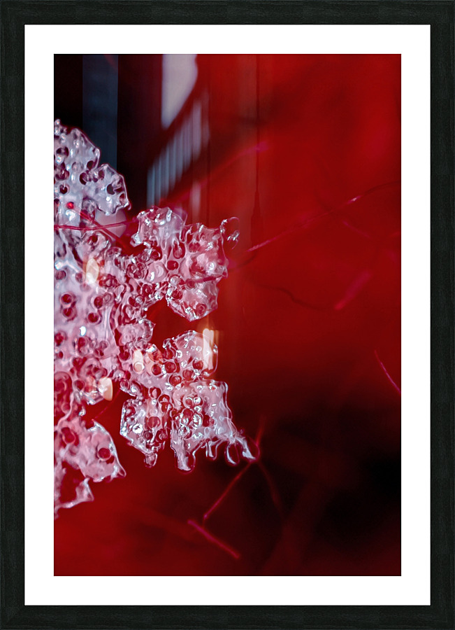 DOTTED SWISS SNOWFLAKE Picture Frame print
