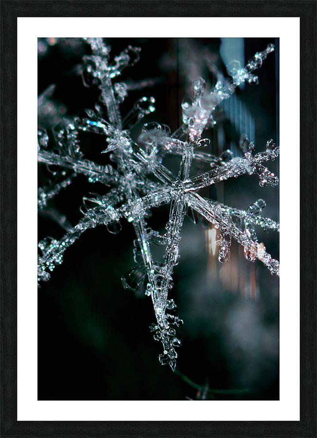 CATCHING THE LIGHT Picture Frame print