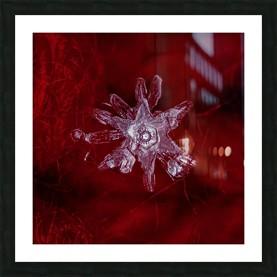 MELTING SNOWFLAKE Picture Frame print