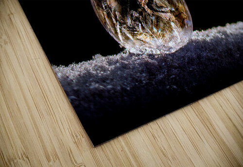ICE BUBBLE Lori Olson Gray puzzle
