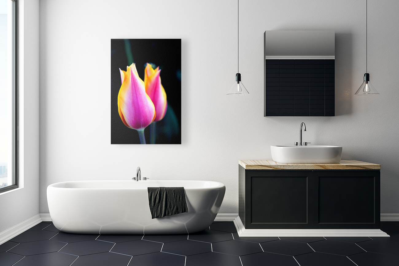 TWINNING TULIPS Reproduction