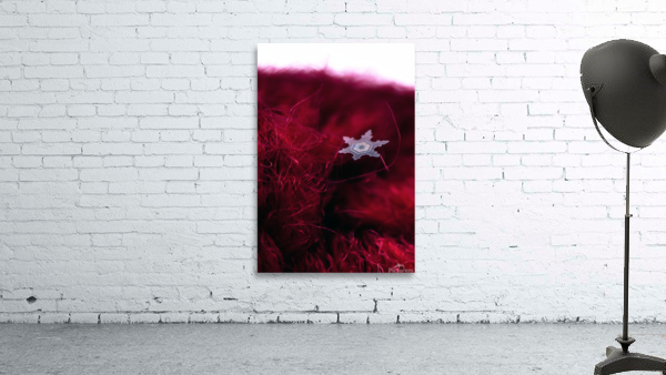SNOWFLAKE PRISM Wall Preview