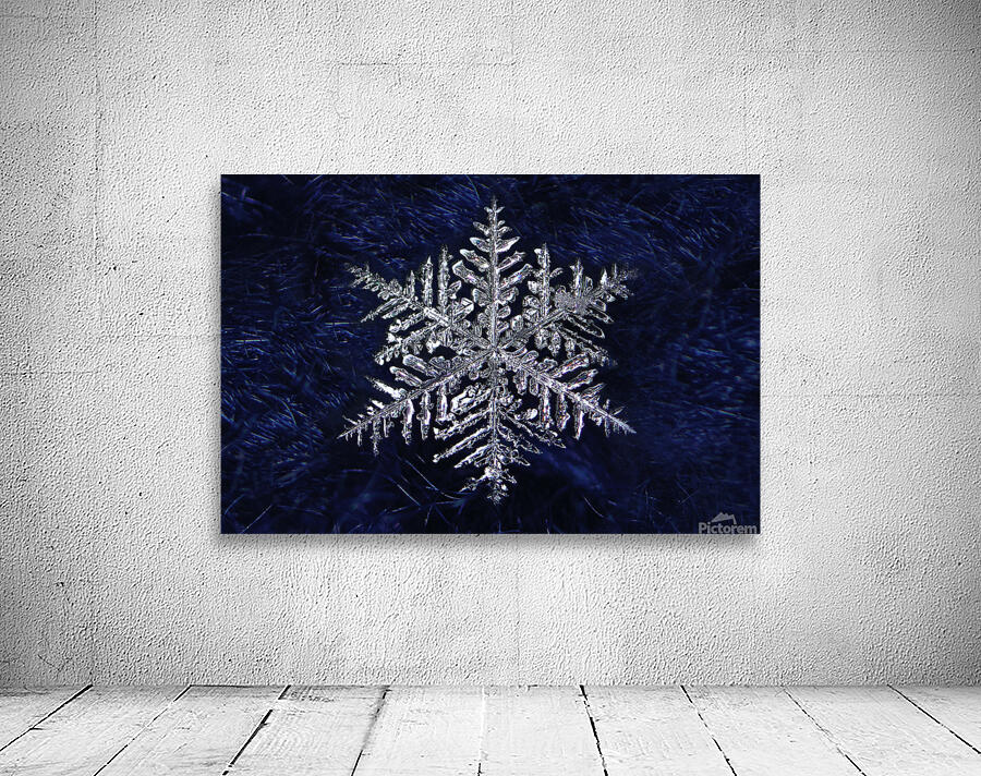 ICY PERFECTION Wall Preview