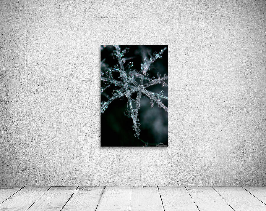 CATCHING THE LIGHT Wall Preview