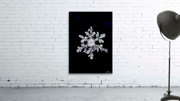 IMPERFECTLY PERFECT Wall Preview