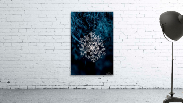 LARGE SNOWFLAKE CLOSE-UP Wall Preview