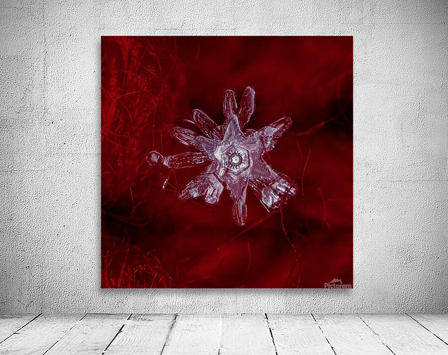 MELTING SNOWFLAKE Wall Preview