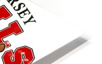 New Jersey Devils 12 HD Metal print