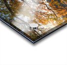 Here comes the autumn on the small lake Acrylic print