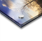 The first signs of spring in the field Acrylic print