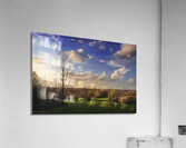 The first signs of spring in the field Acrylic Print