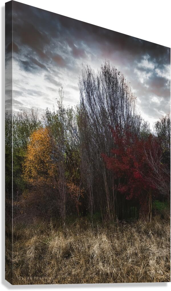 Meet the autumn Canvas Print