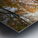 Here comes the autumn on the small lake Metal print
