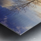 The first signs of spring in the field Metal print