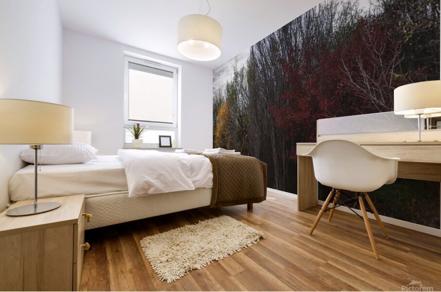 Meet the autumn Mural print