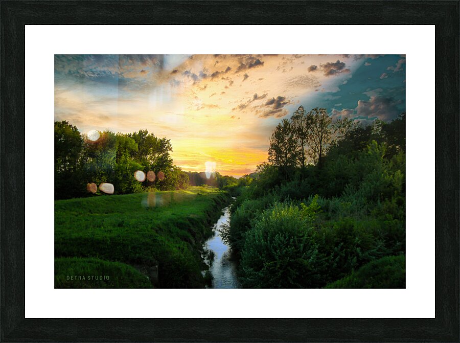A small forest river Picture Frame print