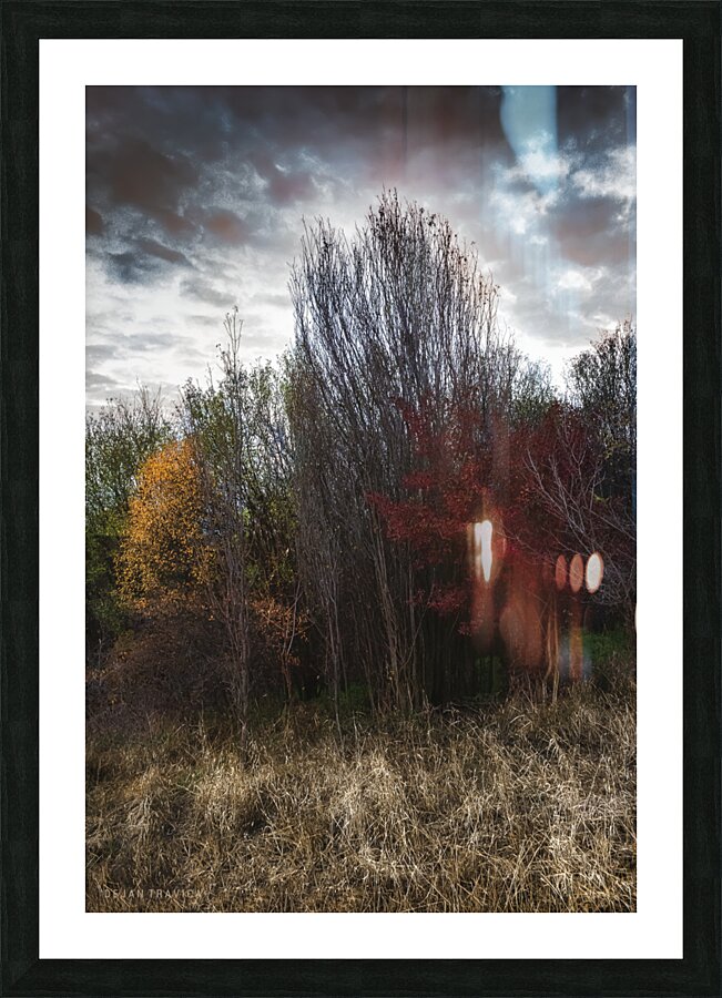 Meet the autumn Picture Frame print