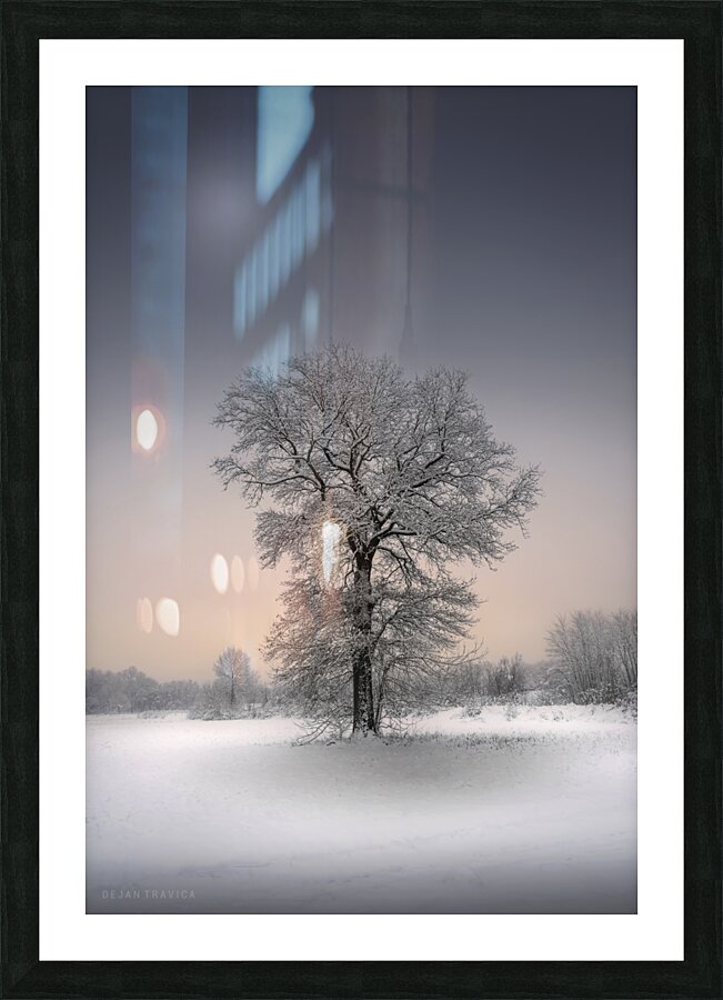 Winter solitude Picture Frame print