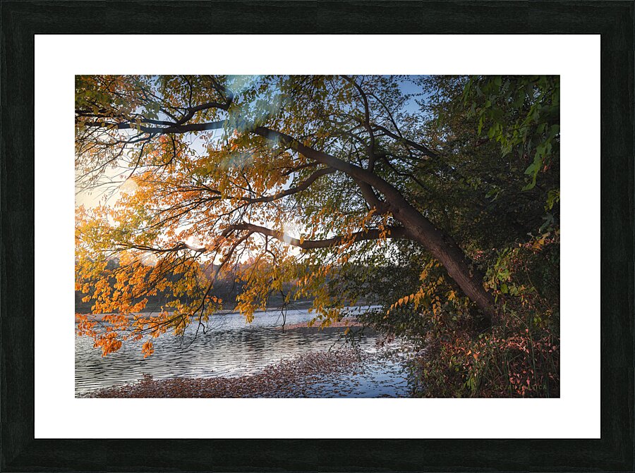 Here comes the autumn on the small lake Picture Frame print