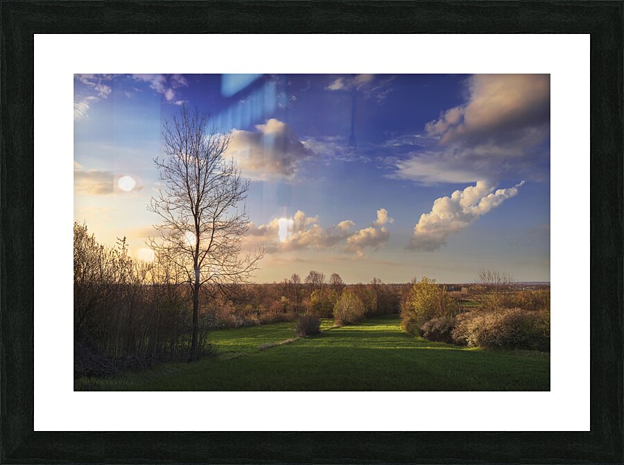 The first signs of spring in the field Picture Frame print