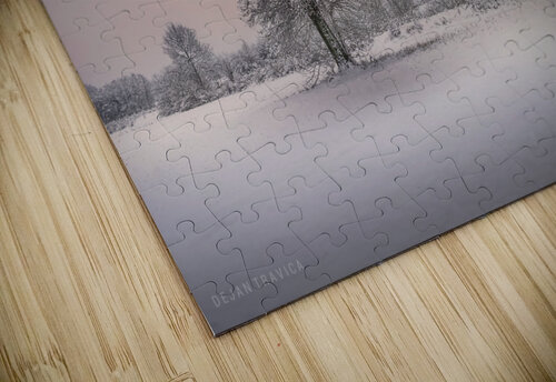 Winter tree Dejan Travica puzzle