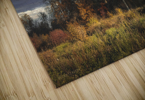 A small forest in the fall Dejan Travica puzzle