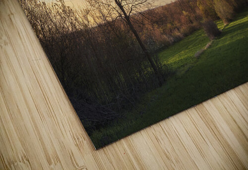 The first signs of spring in the field Dejan Travica puzzle