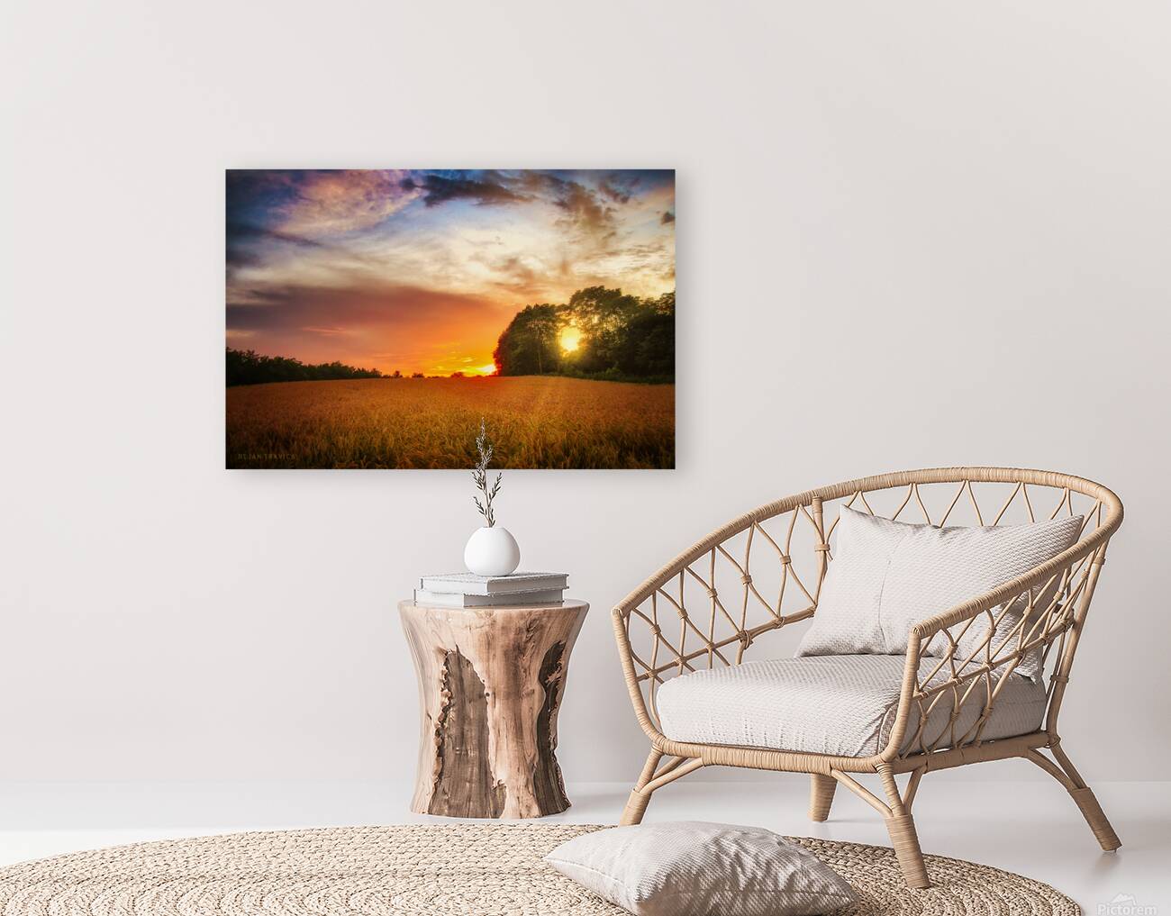 Wheat field at sunset Reproduction