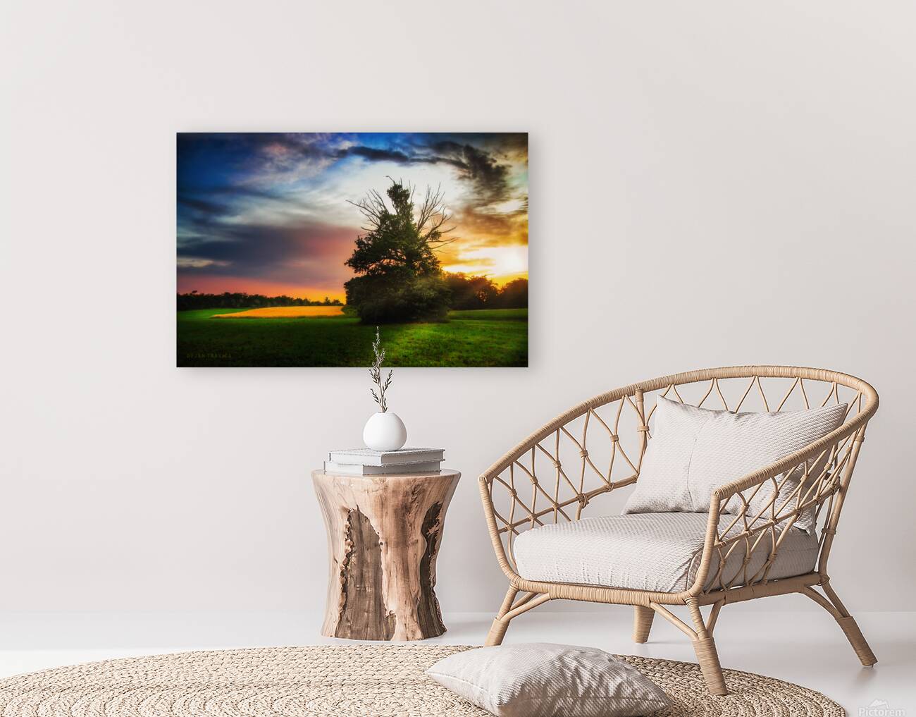 Lonely tree at sunset Reproduction