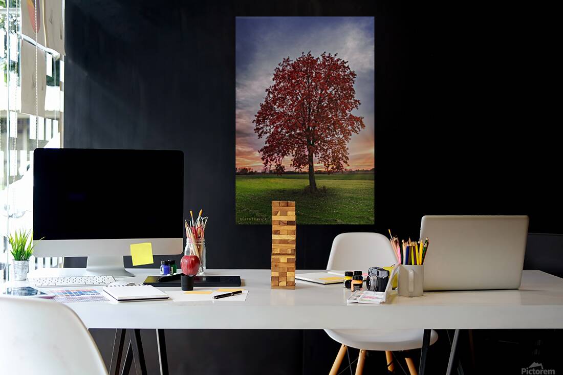 Lonely red tree Reproduction