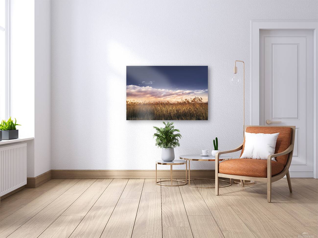 Reed in the wind Reproduction