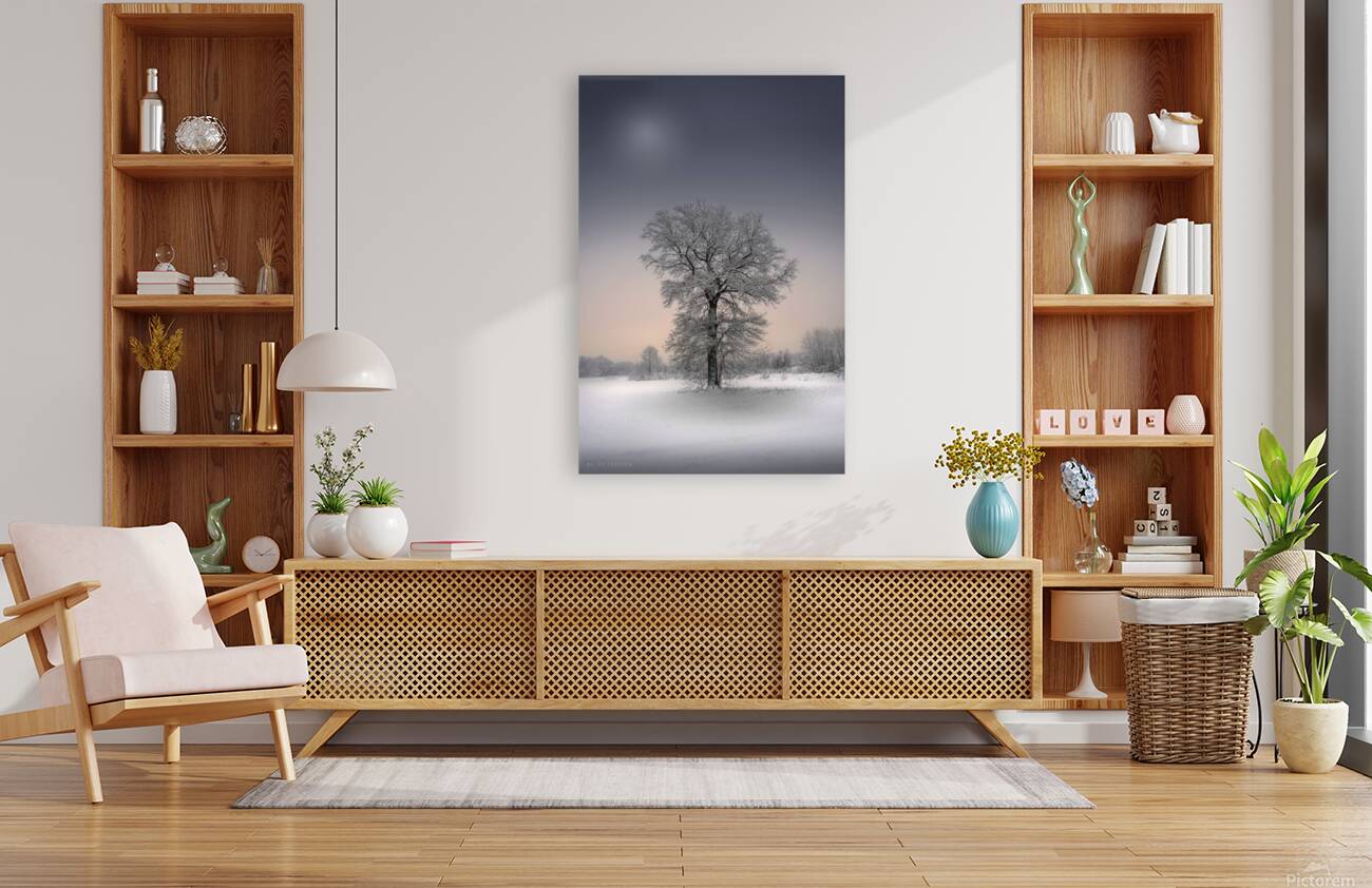 Winter solitude Reproduction