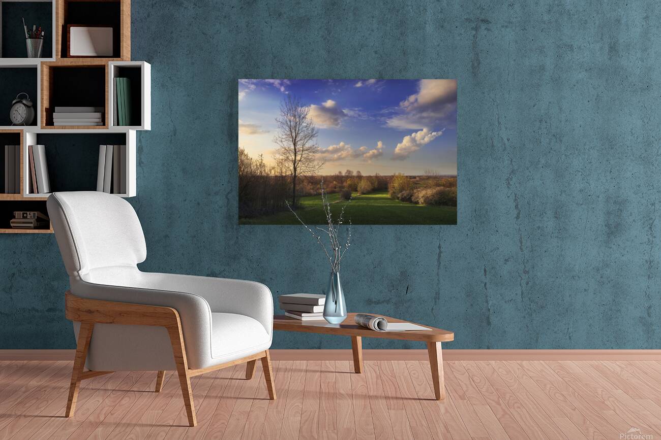 The first signs of spring in the field Reproduction