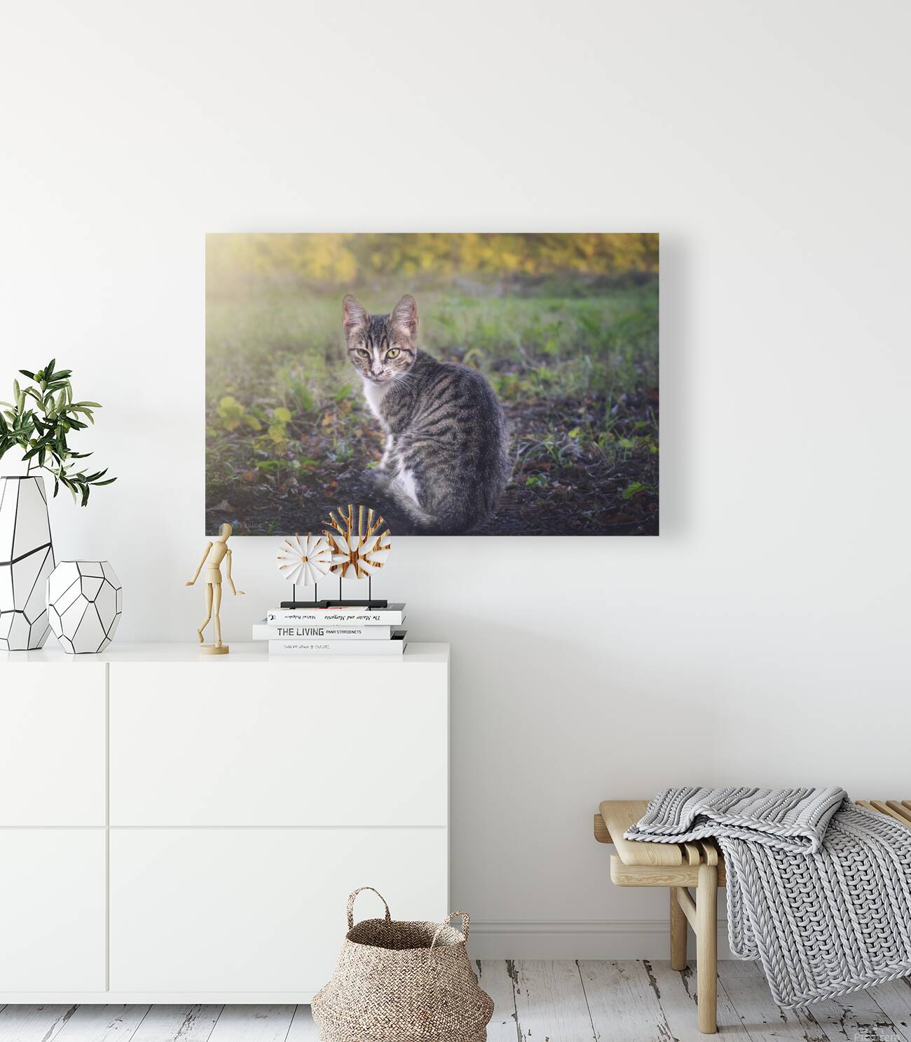 A little kitten is looking straight into your eye Reproduction