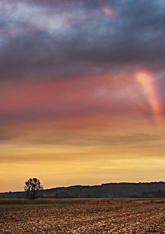 Sunset rainbow Reproduction